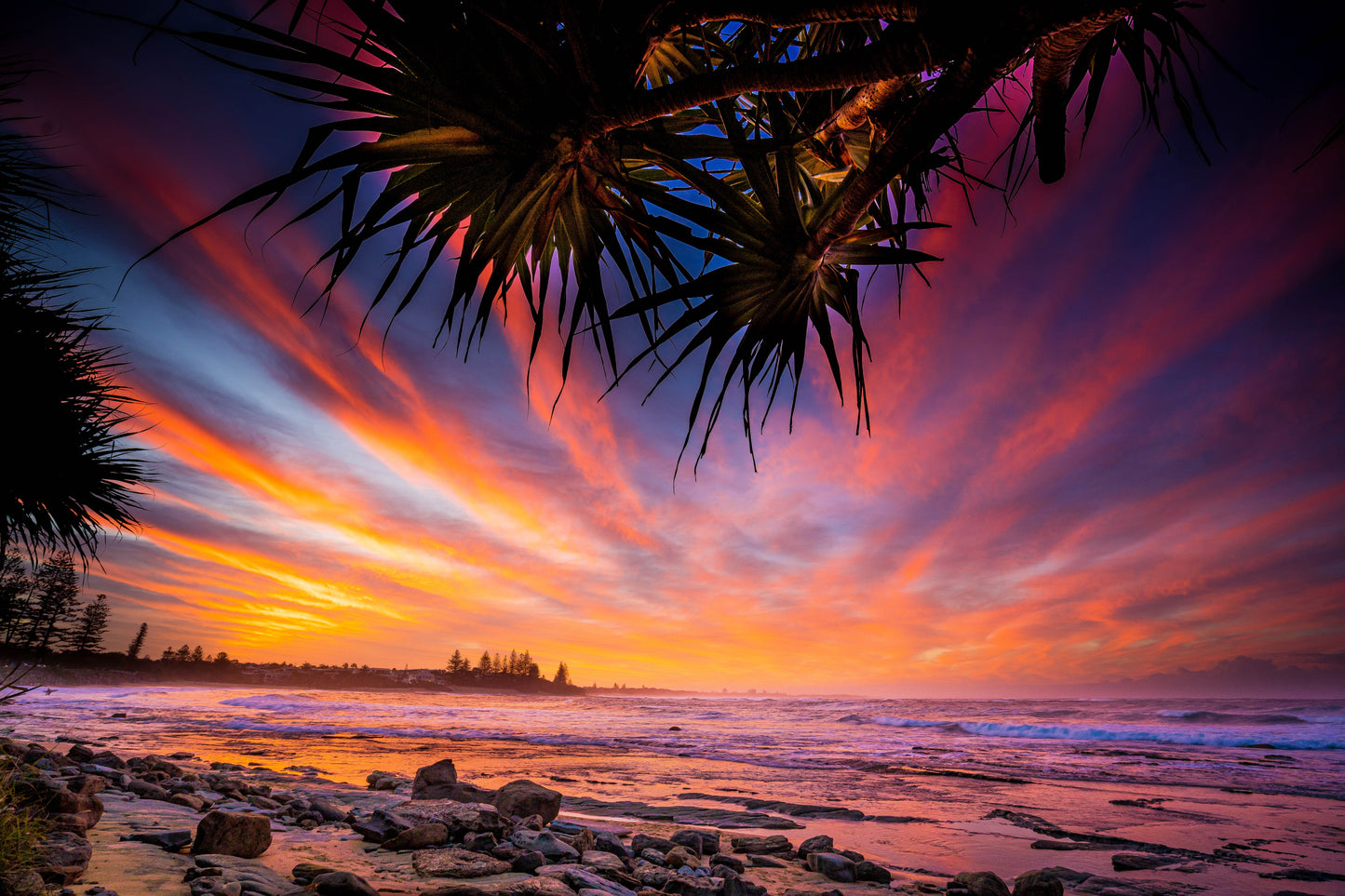 Pandanus Sunset - Moffat Beach - Photography Sunshine Coast