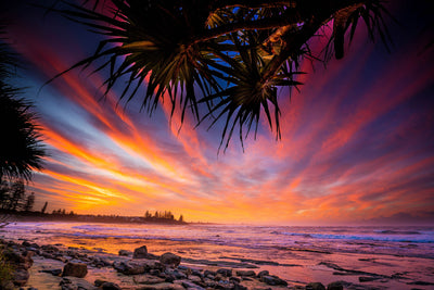 Pandanus Sunset - Moffat Beach - Photography Sunshine Coast