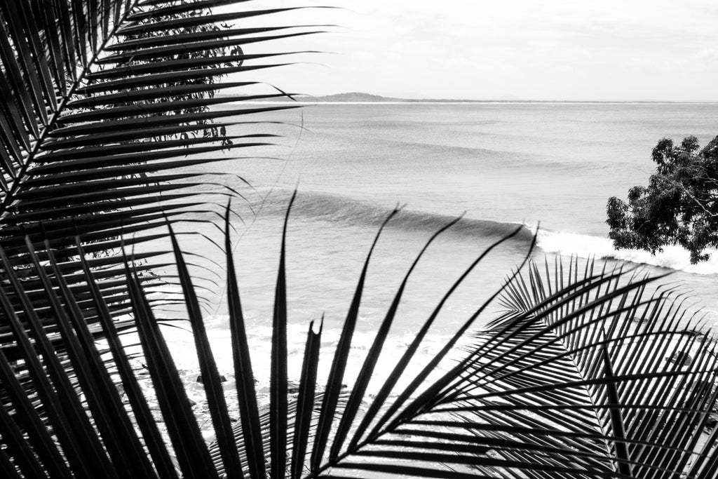 Empty Wave - Noosa - Photography Sunshine Coast