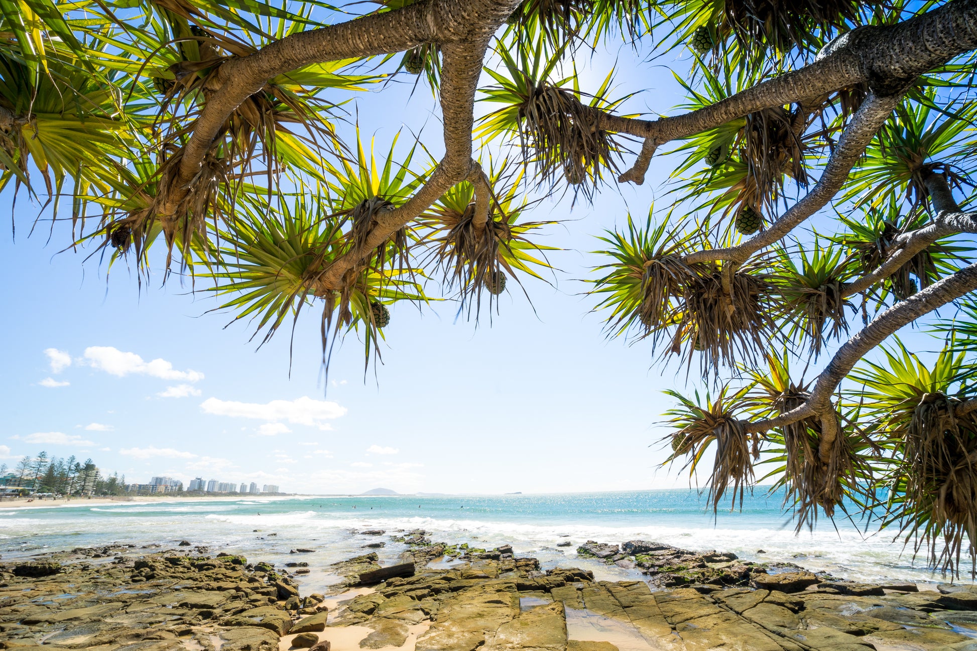 New sample - Photography Sunshine Coast