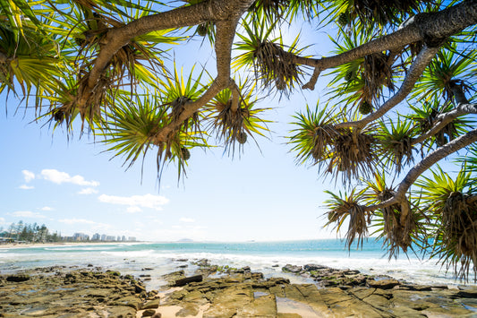 New sample - Photography Sunshine Coast