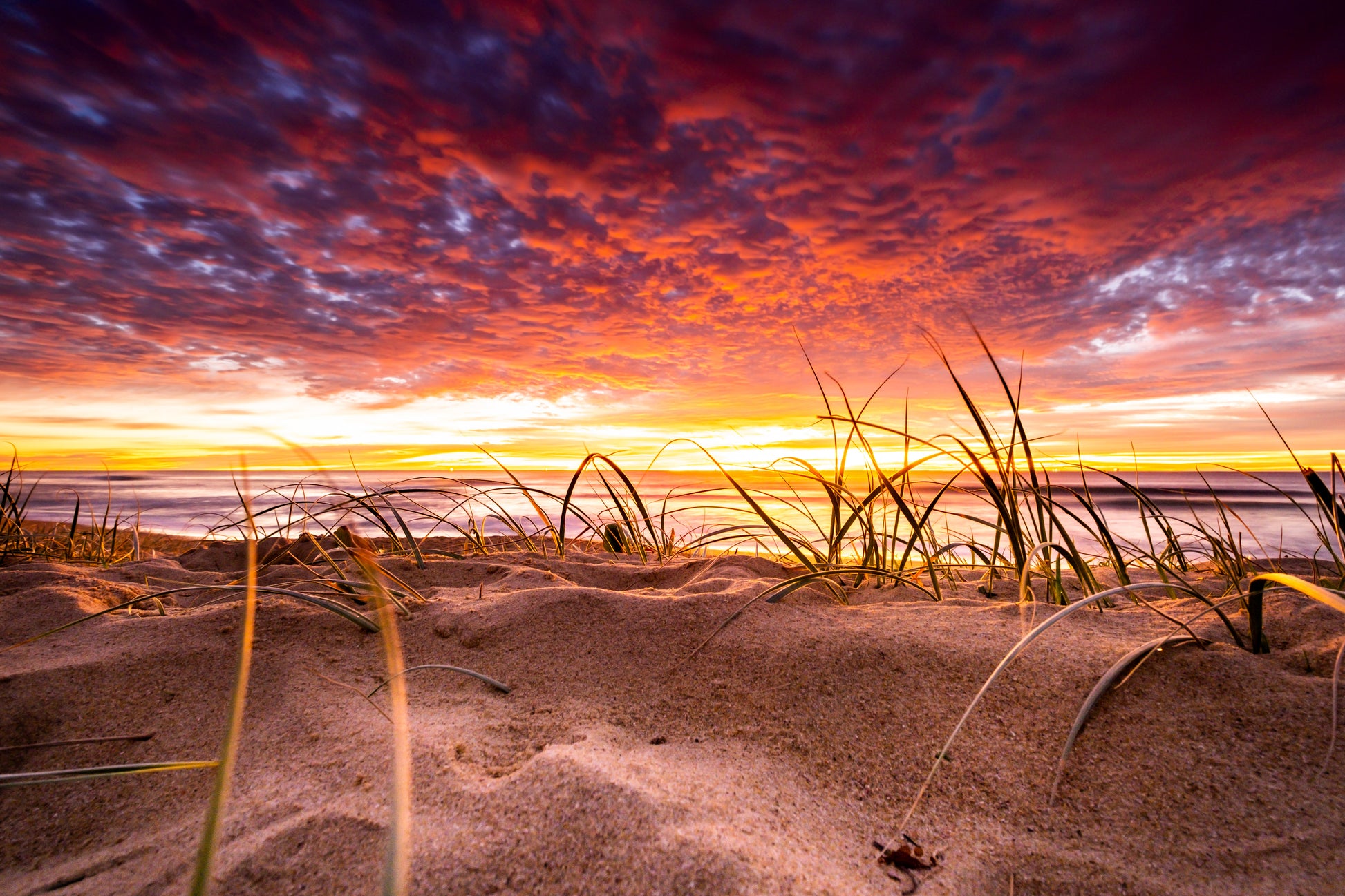 Grass Sunrise - Currimundi Lake - Photography Sunshine Coast