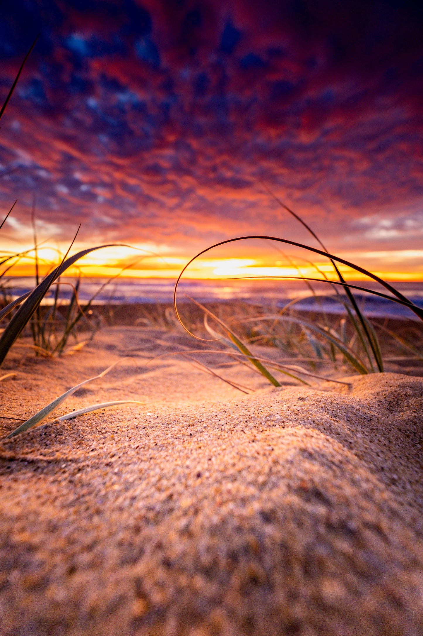 Curra Lake Sunrise (Vert) - Photography Sunshine Coast
