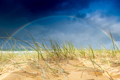 Rainbow and Grass -  Currimundi - Photography Sunshine Coast