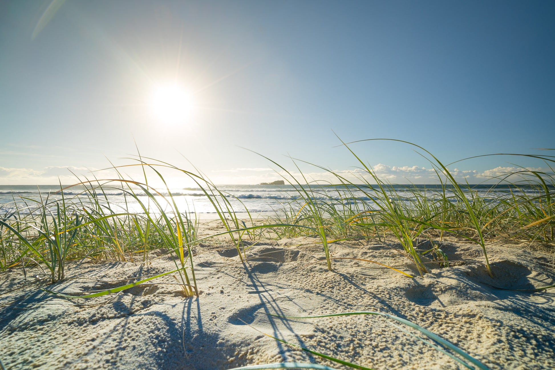 Mudjimba Grass II - Photography Sunshine Coast