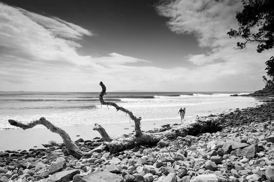 Noosa Surfer BW (Copy) - Photography Sunshine Coast
