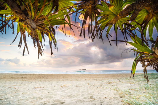 Mudjimba Framed Pandanus - Photography Sunshine Coast