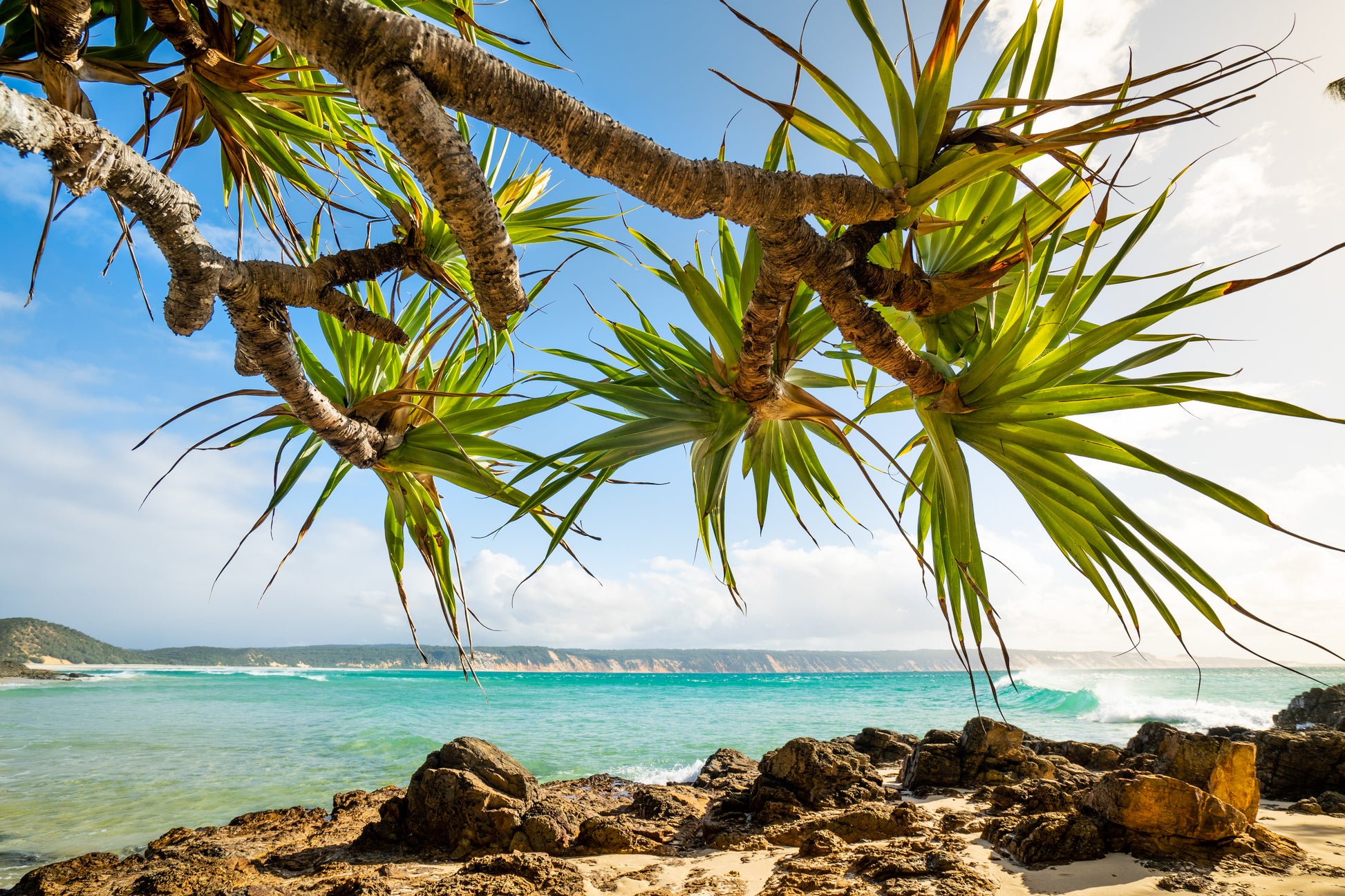 Double Island Point Perfection - Photography Sunshine Coast