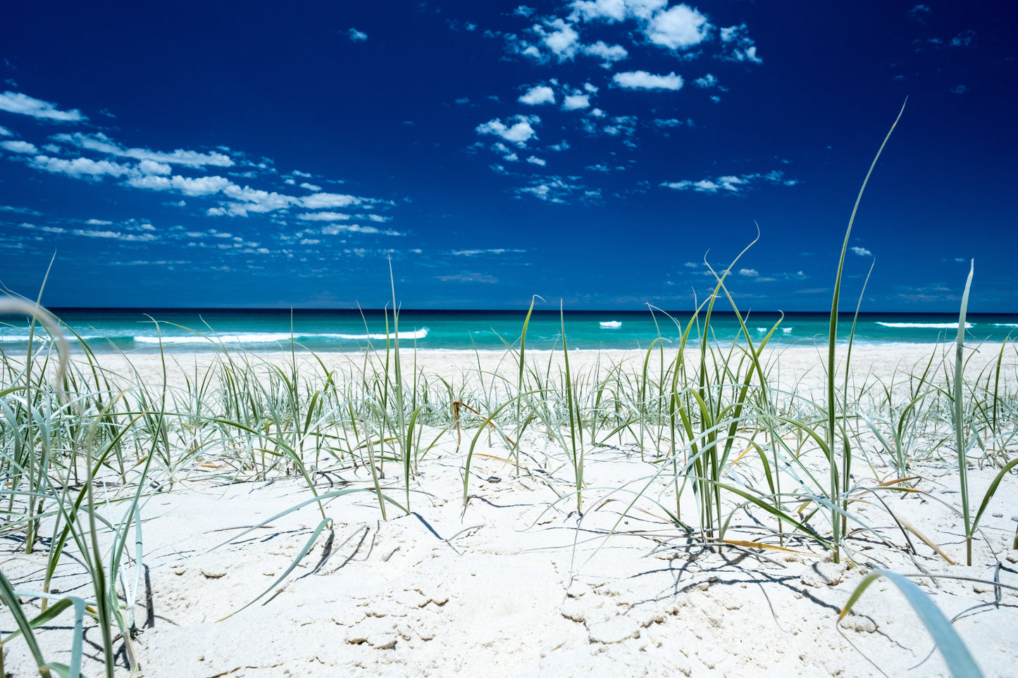 Double Island Grass (Copy) - Photography Sunshine Coast