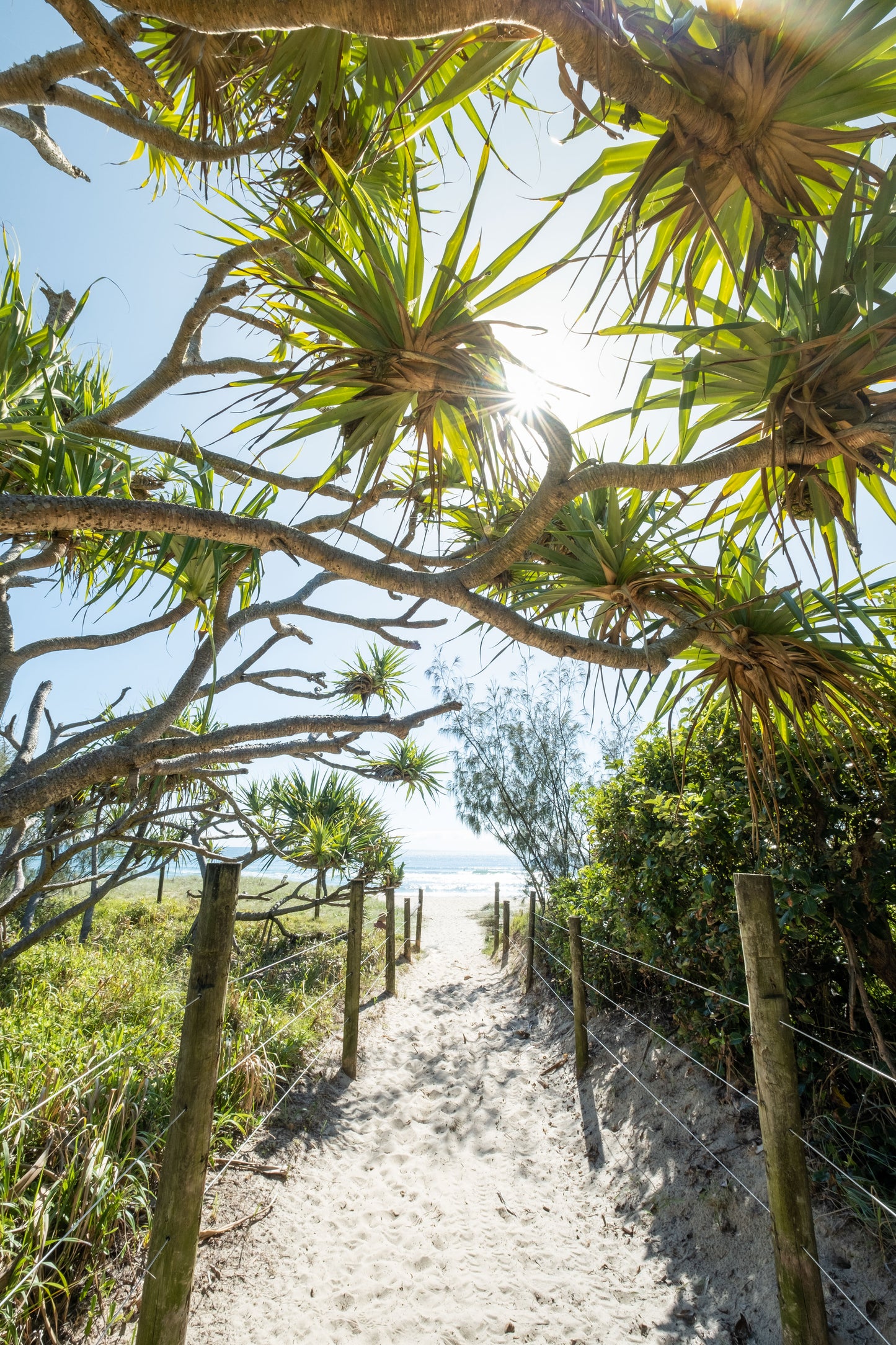 Mudjimba Entrance - Photography Sunshine Coast