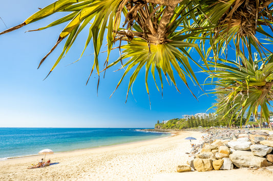 Moffat Pandanus II - Photography Sunshine Coast
