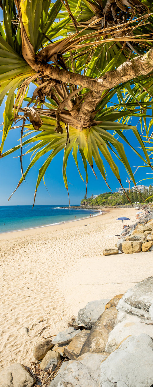 Moffat Pandanus - Photography Sunshine Coast