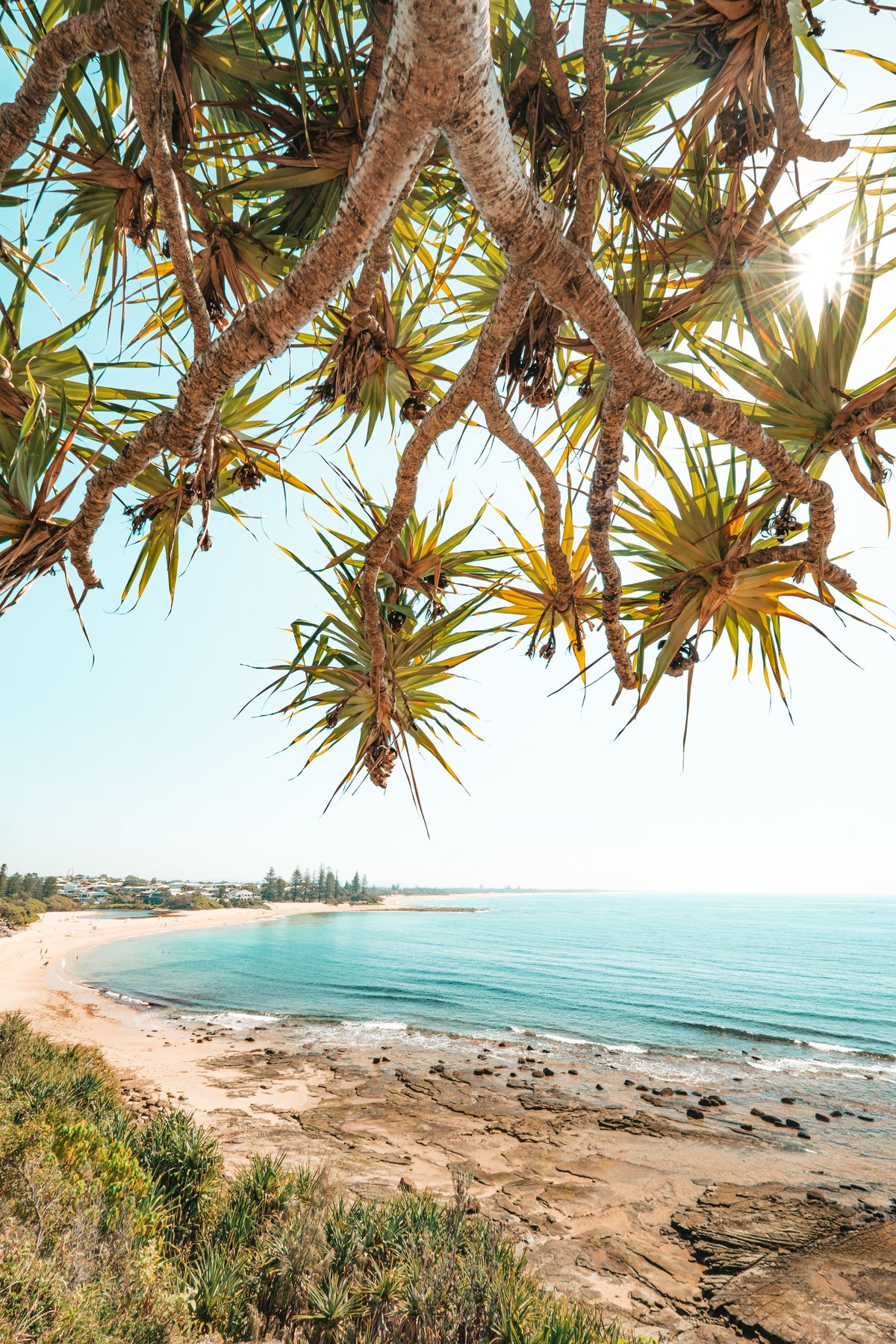 Moffat Hill - Photography Sunshine Coast