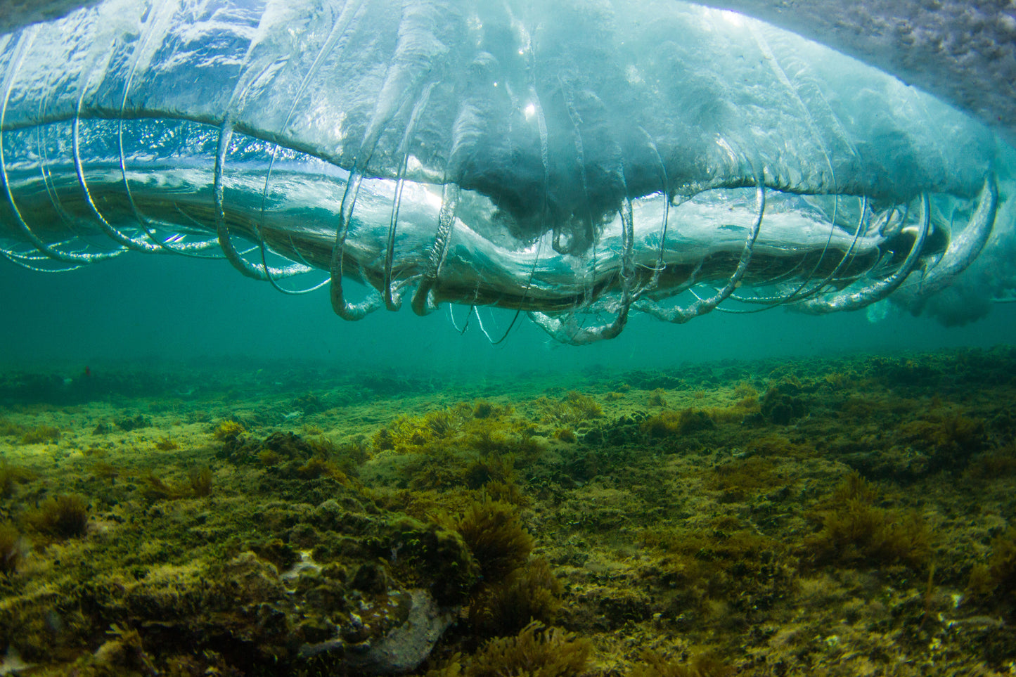 Vortex Rings - Photography Sunshine Coast
