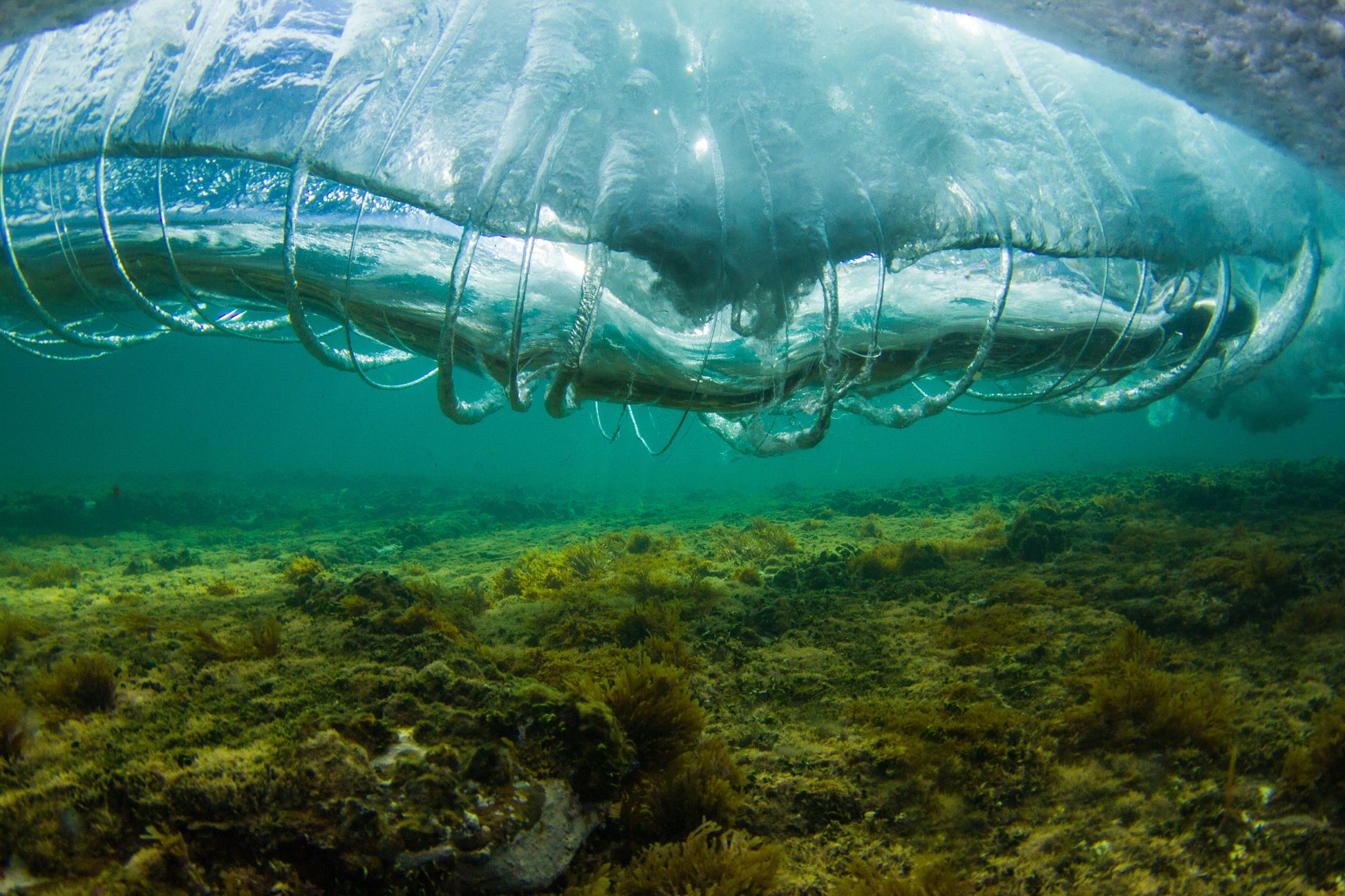 Vortex Rings - Photography Sunshine Coast
