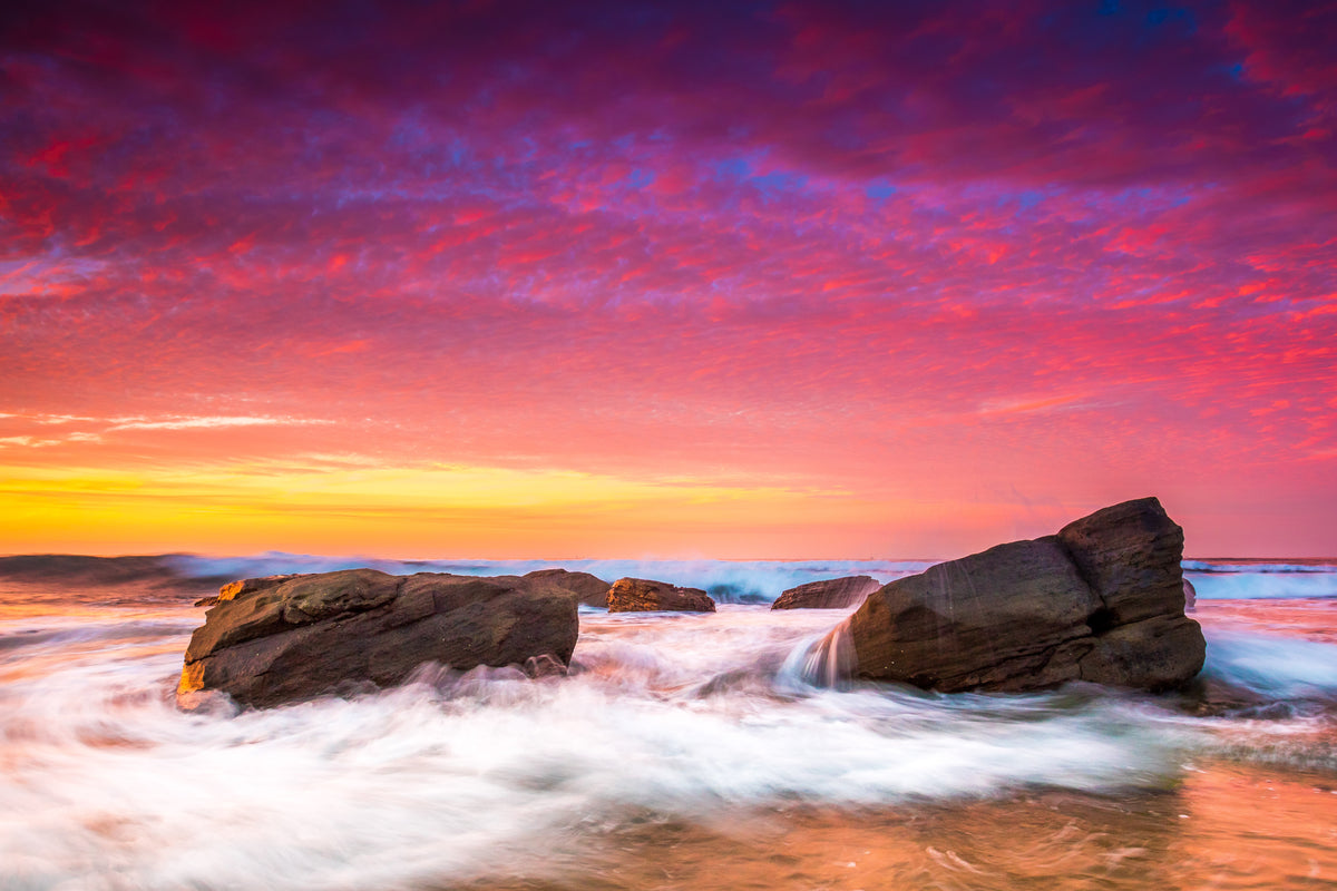 Fairy Floss - Photography Sunshine Coast