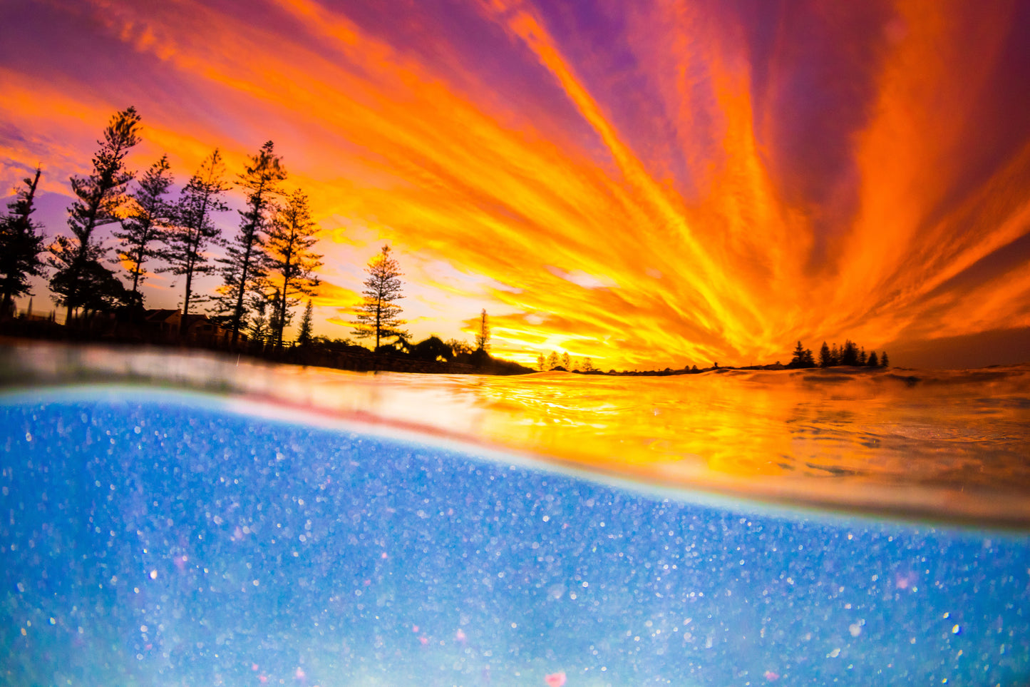 Moffat Tangerine - Photography Sunshine Coast