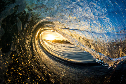 Kings Gold Rush - Photography Sunshine Coast