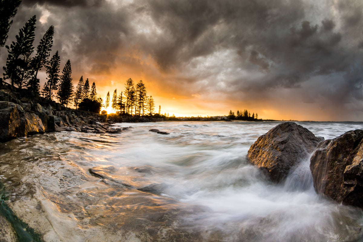 Moffat Sunburst - Photography Sunshine Coast