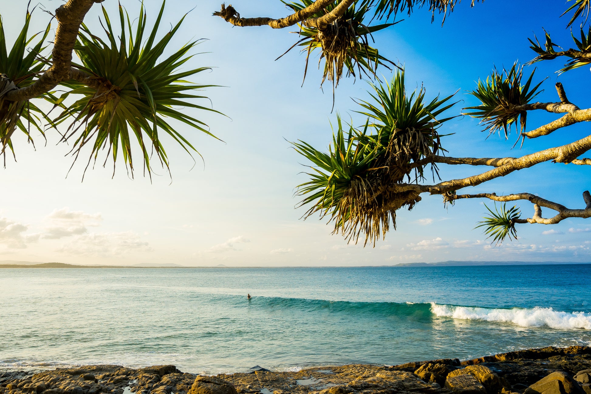 Noosa Lone Surfer - Photography Sunshine Coast