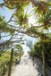 Mudjimba Beach Walk - Photography Sunshine Coast