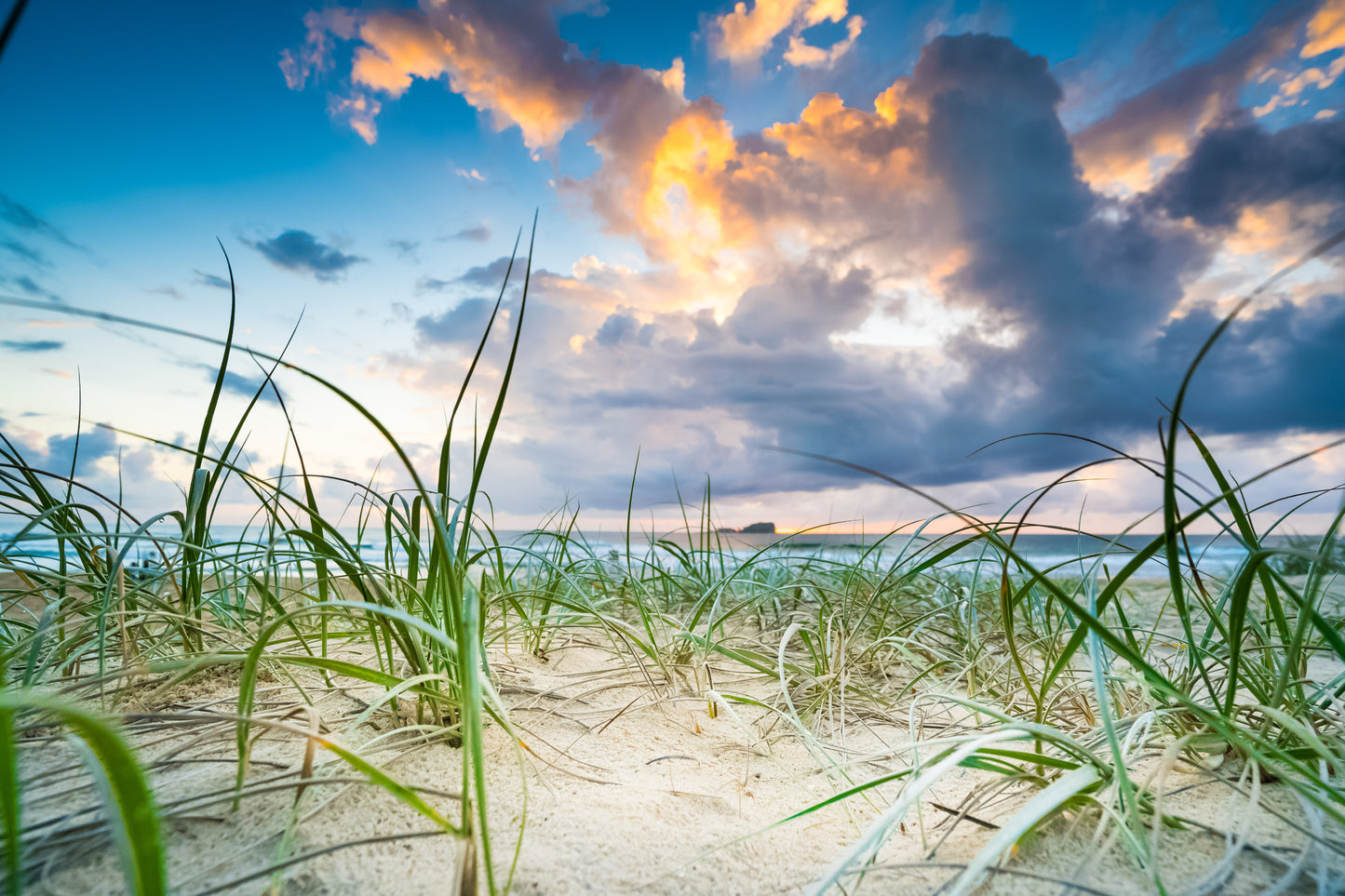 Mudjimba Grass - Photography Sunshine Coast