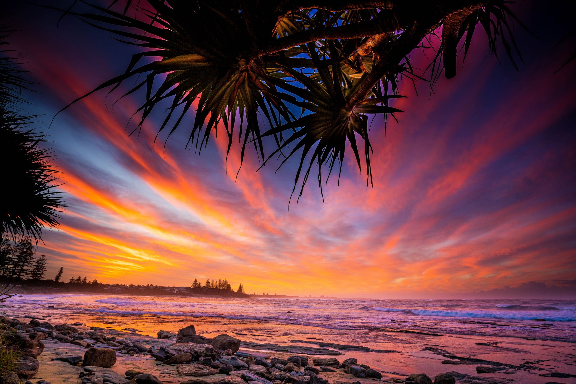 Pandanus Sunset - Moffat Beach - Photography Sunshine Coast